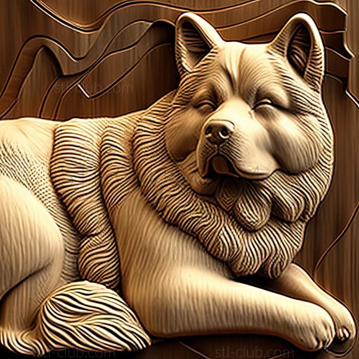 3D model st American Akita dog (STL)